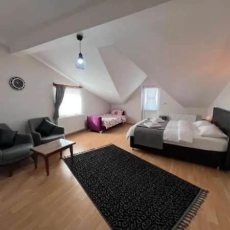 Manzarali Ev Teras Apartament