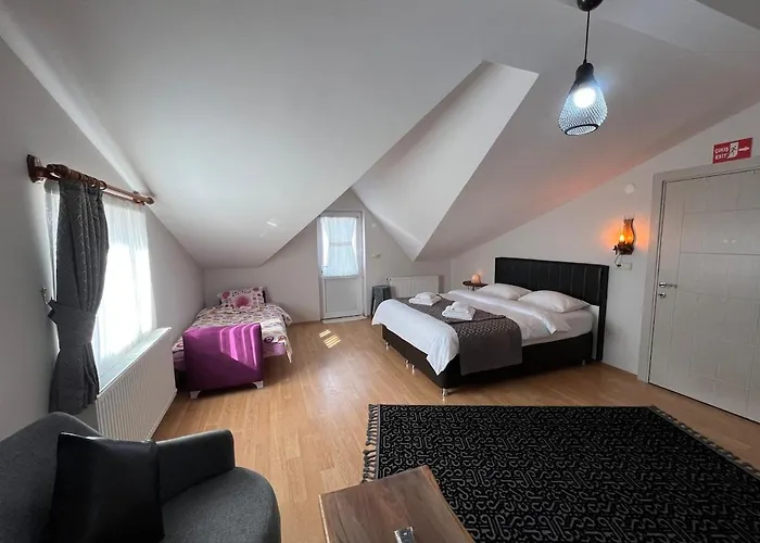 Manzarali Ev Teras *